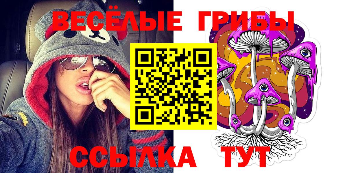 Псилоцибиновые грибы Psilocybine cubensis Люберцы